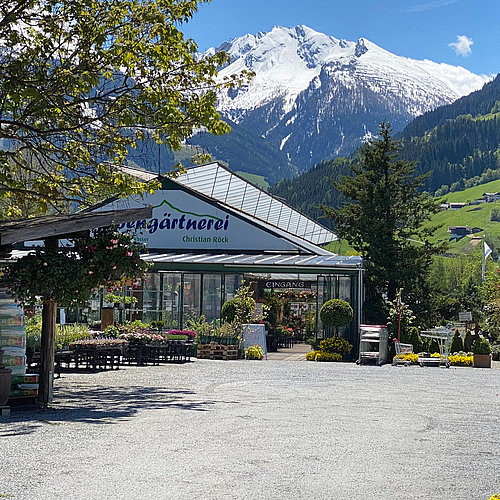 Alpengärtnerei
